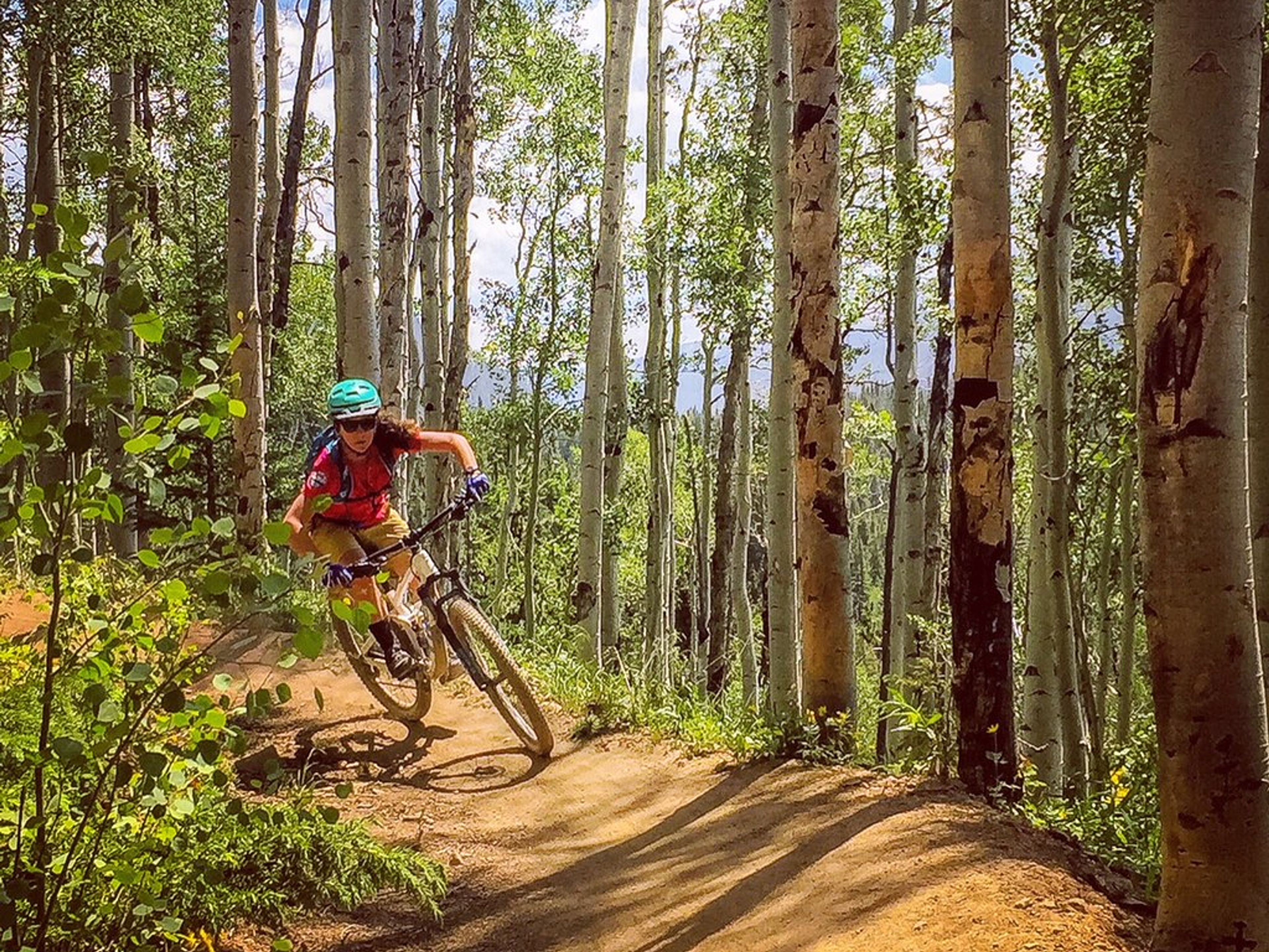 Guided Mountain Bike Ride: Half-Day