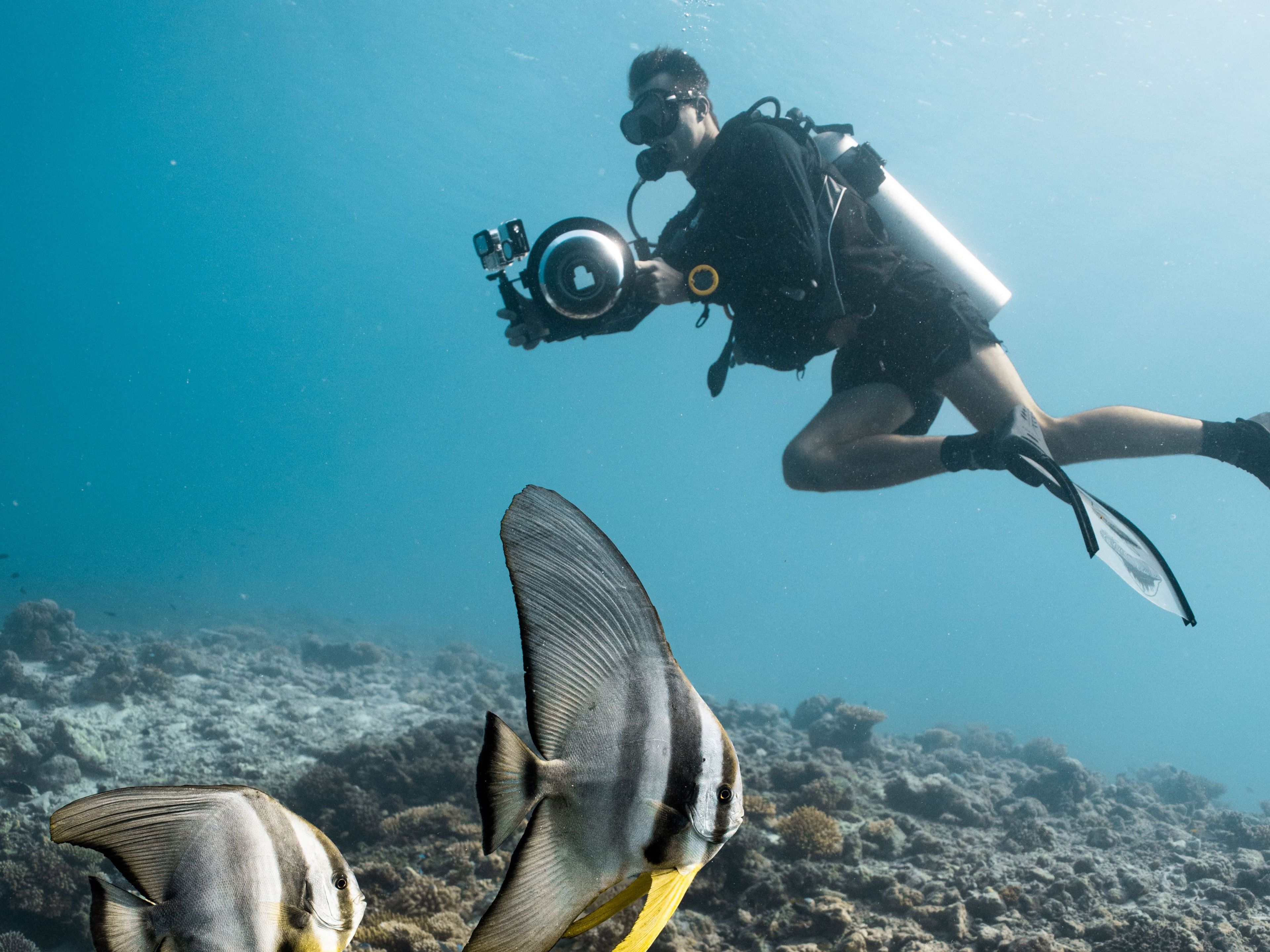 Underwater Photography