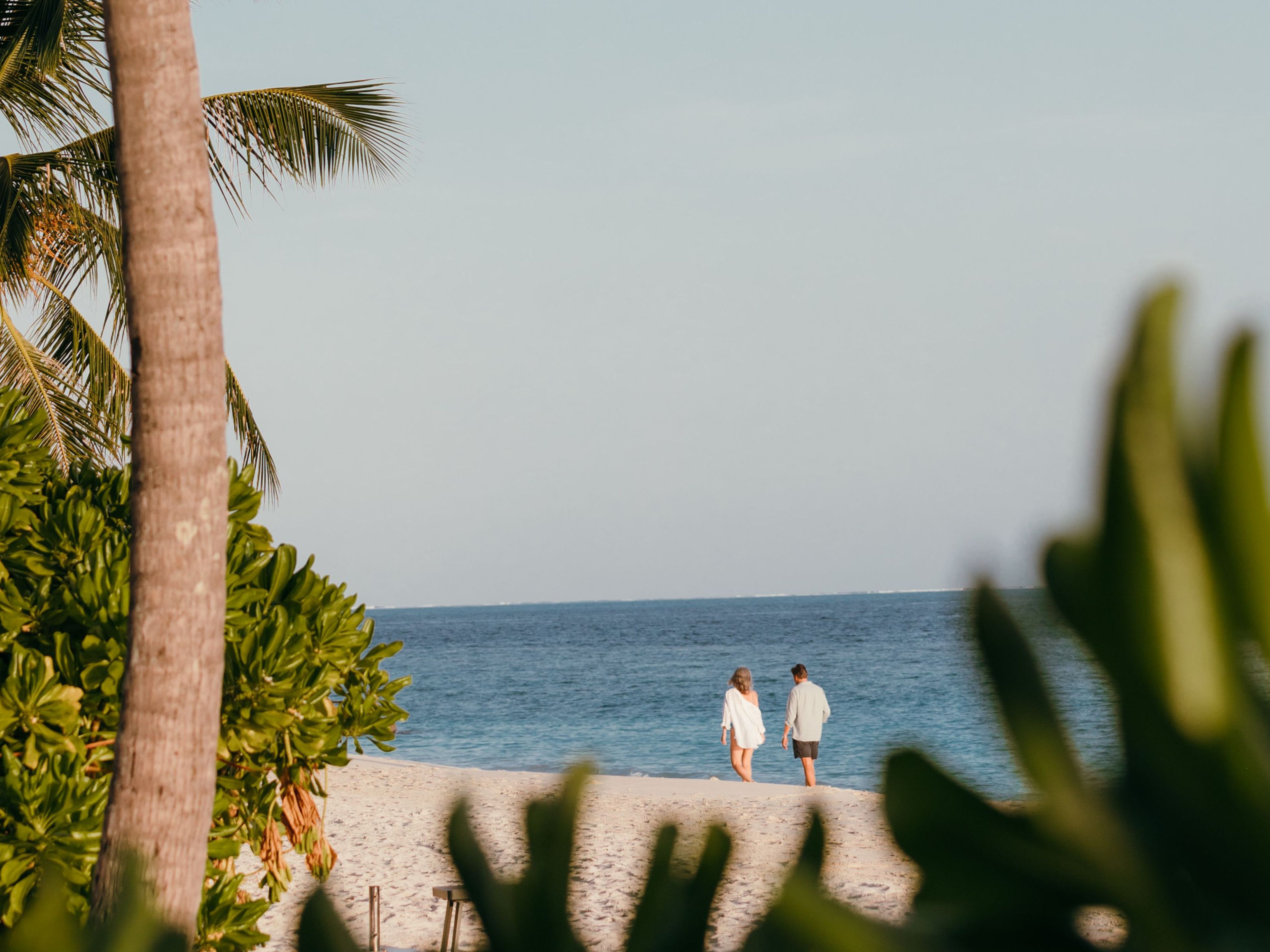 Nature’s First Language – A Walk with Safeeru