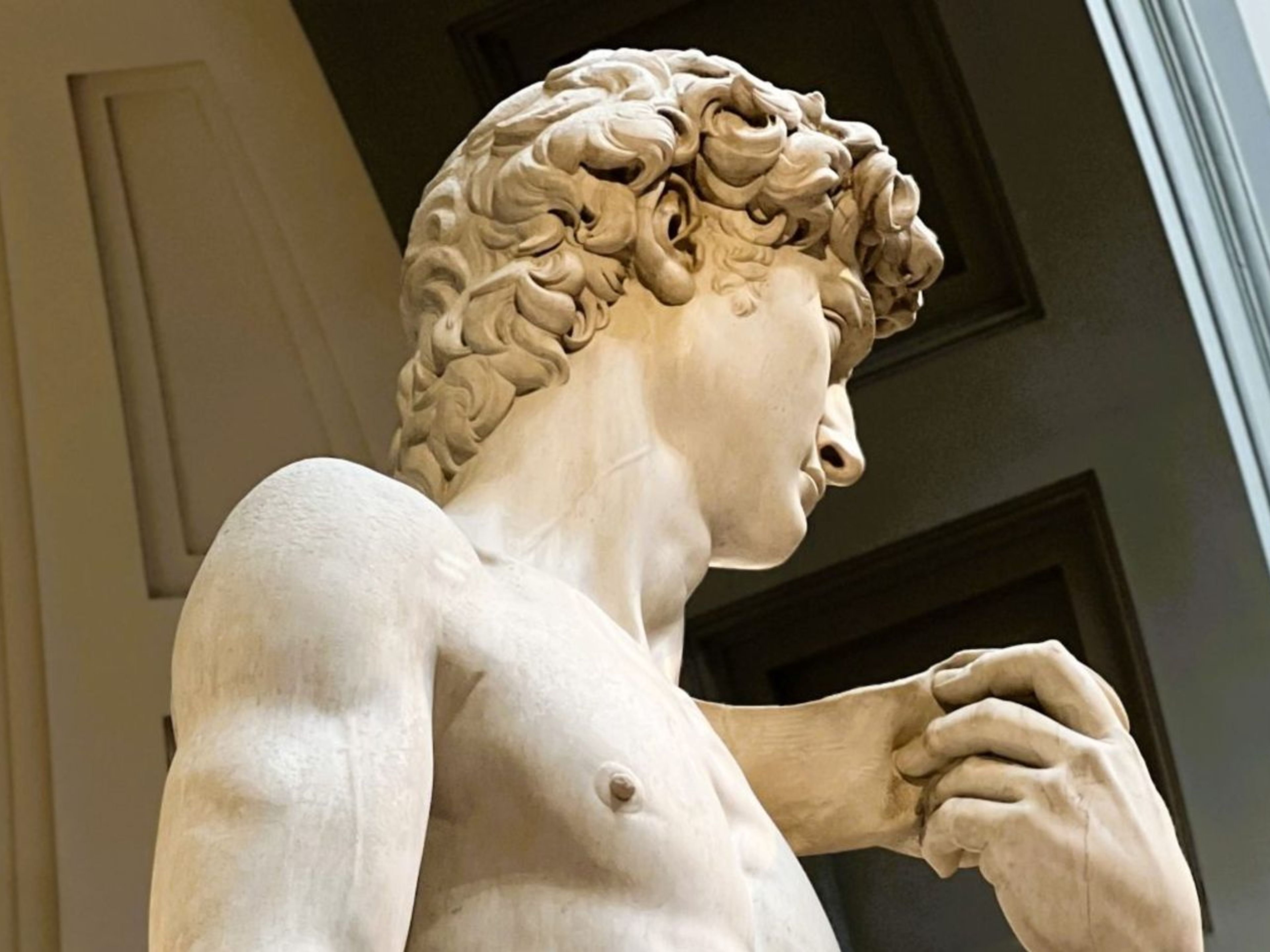 Michelangelo's Florence: From the David to the Medici Chapels