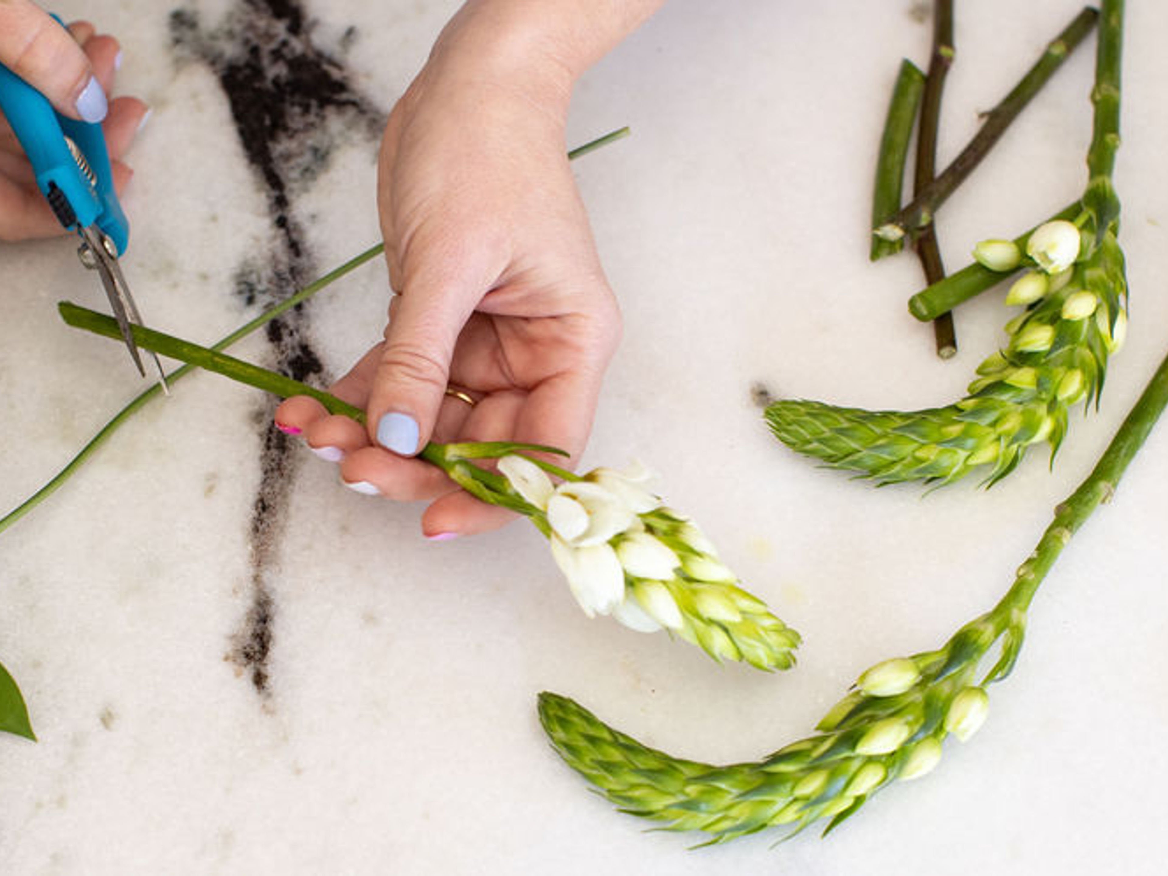 GOOD EARTH: FLORAL ARRANGEMENT CLASSES  – The Unbound Collection by Hyatt