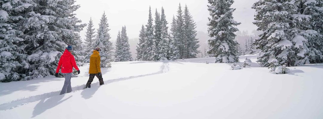 Summit Snowshoe Tour
