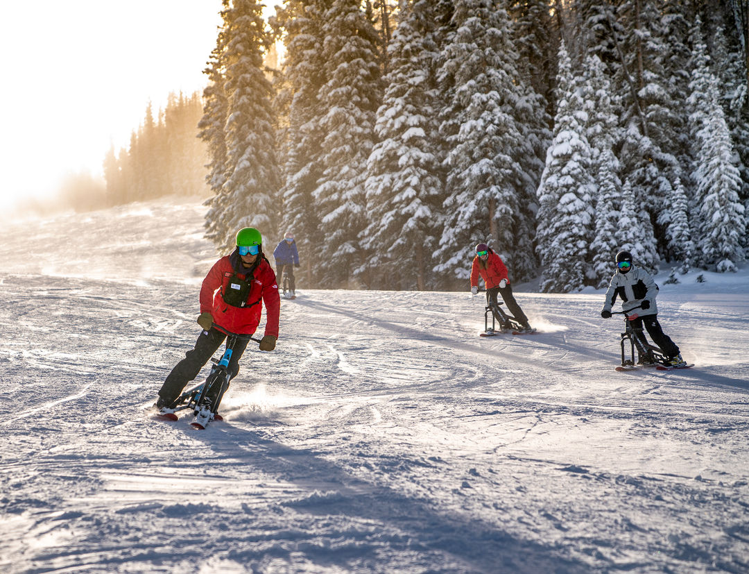 SnoGo Tour | Advanced