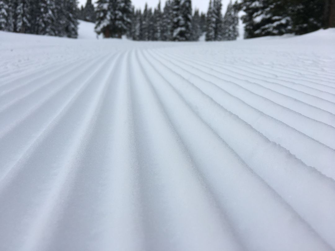 Ski & Ride Guides - Echo