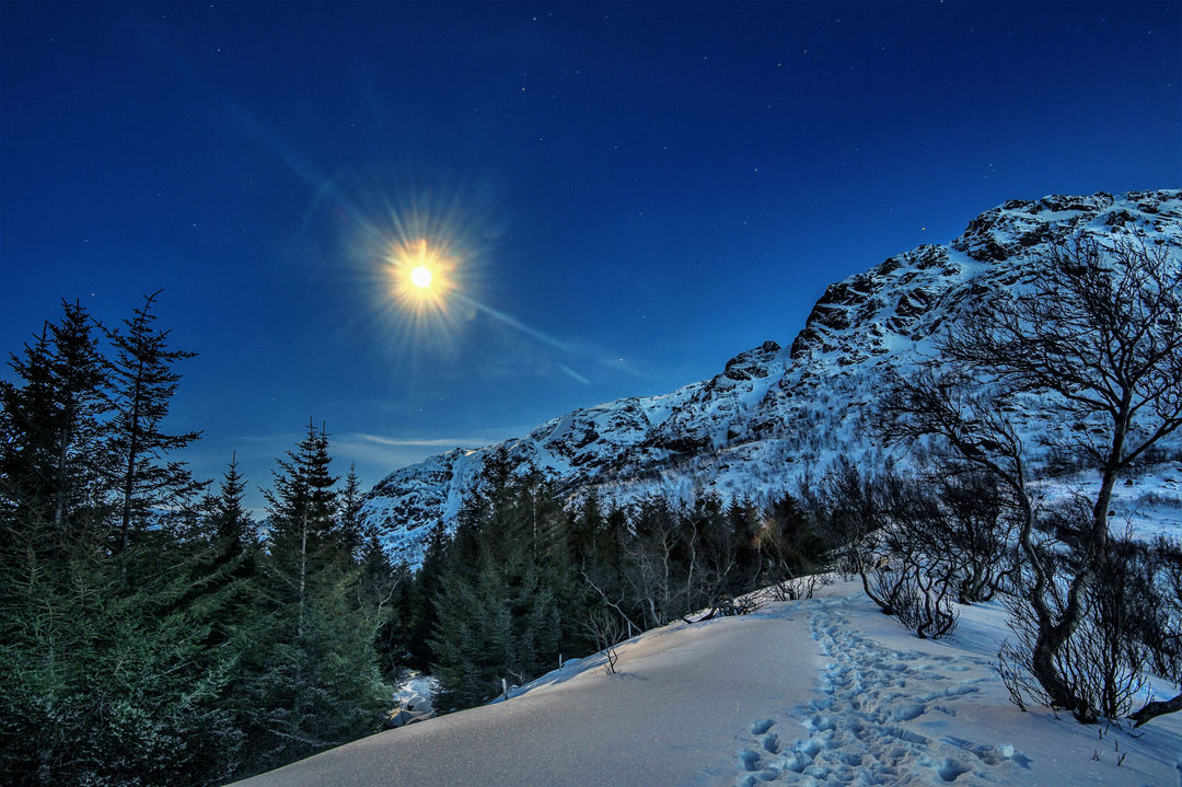 Moonlight Snowshoe Hike