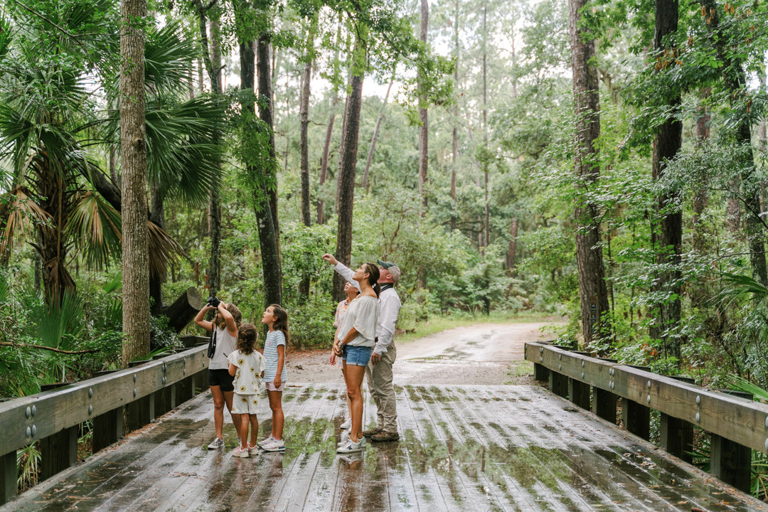 Private Naturalist Excursion