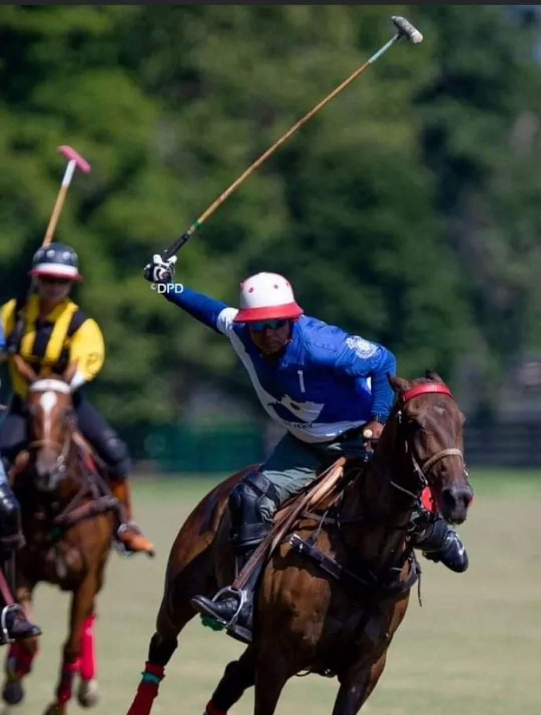 Tours & Experiences Lexington KY