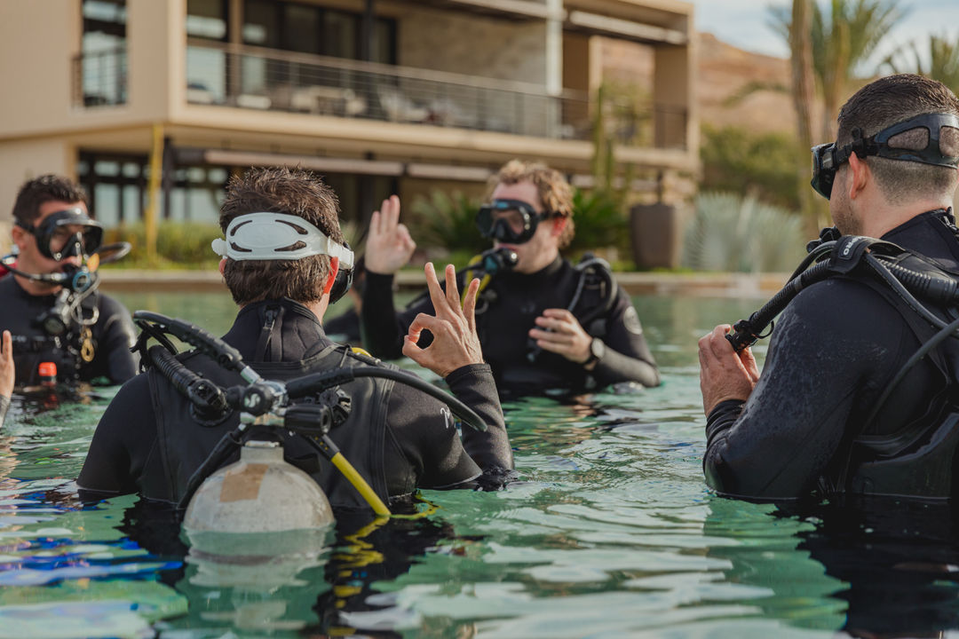 Scuba Diving Discovery