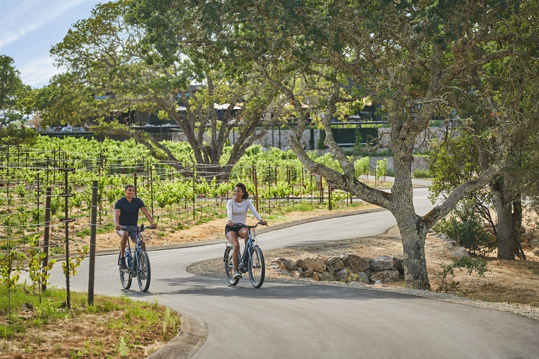 Wine Country Cycle Tours