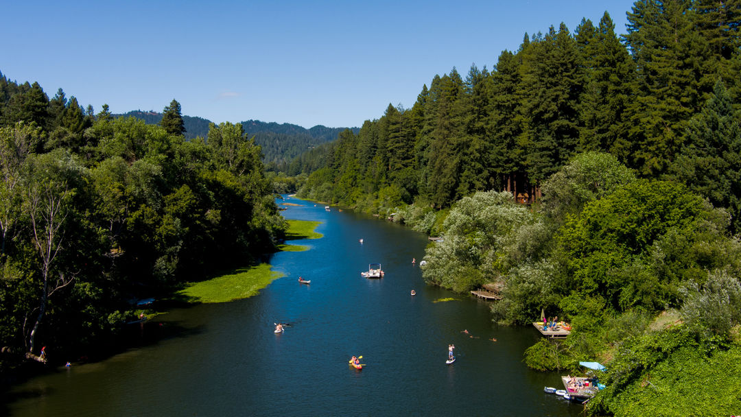 Russian River Kayak Excursion