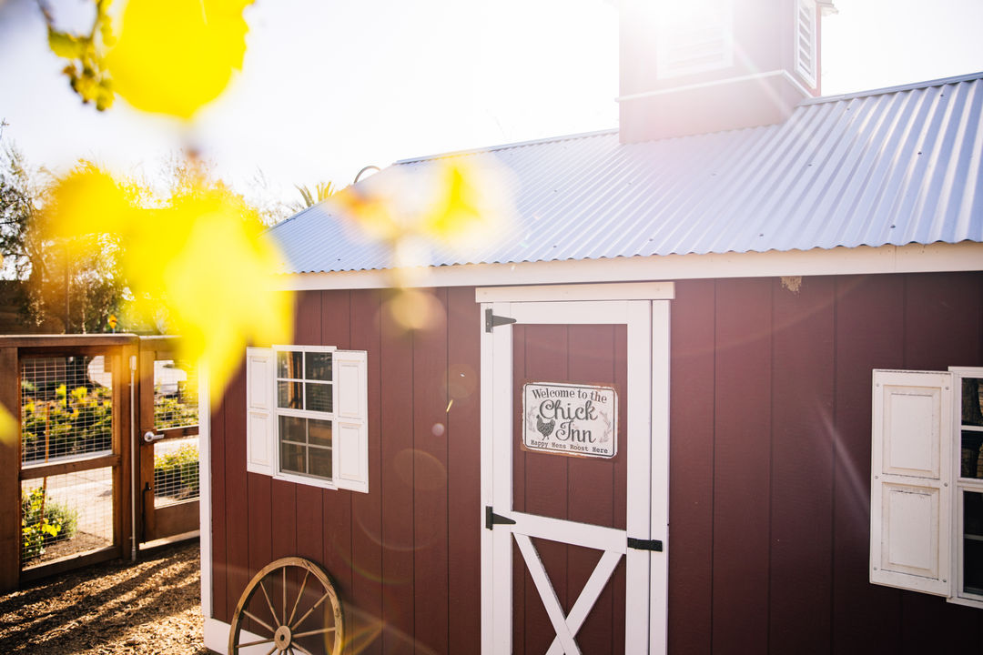 Little Green Thumb Garden Tour