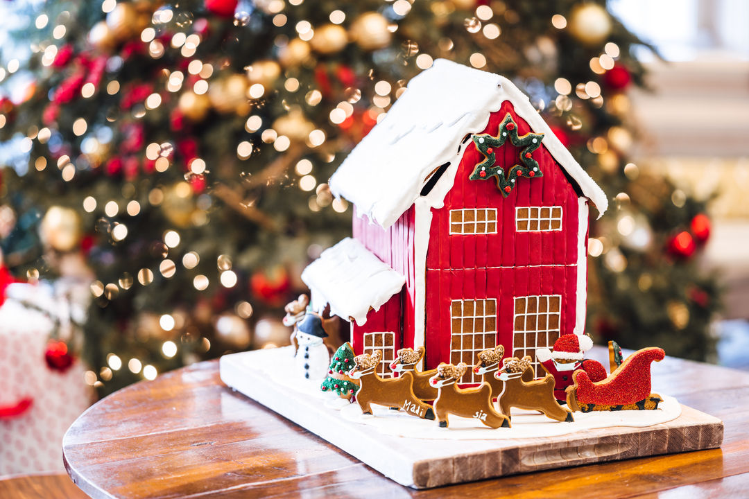 Visit & Photos with Santa