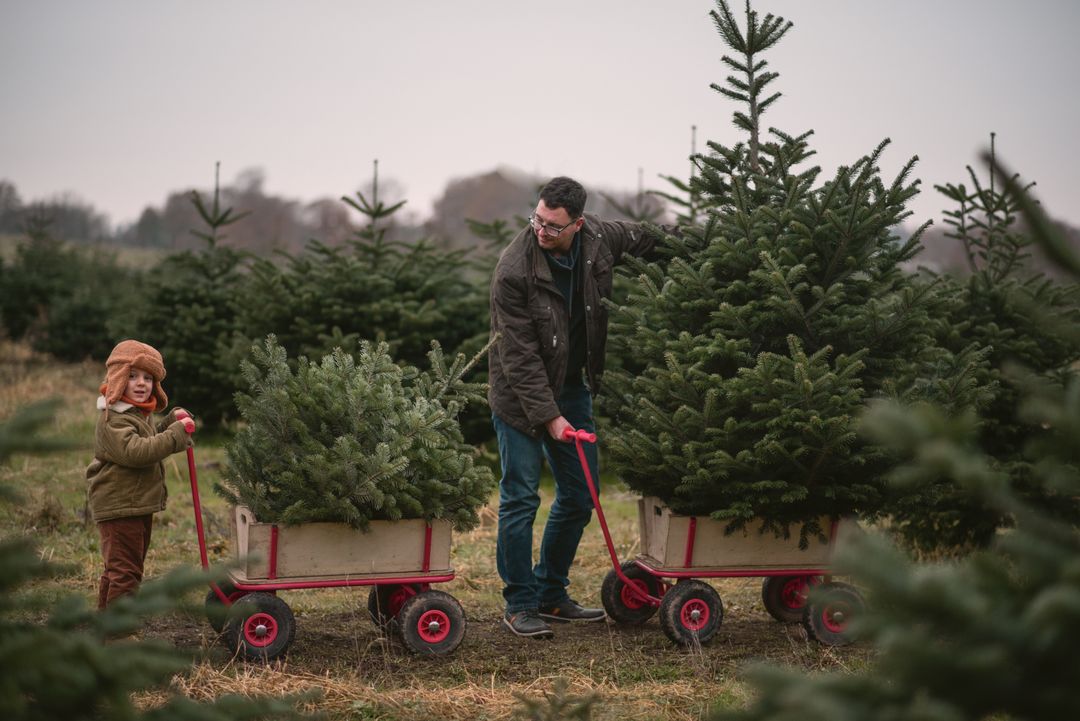 Pop-Up Christmas Tree Farm