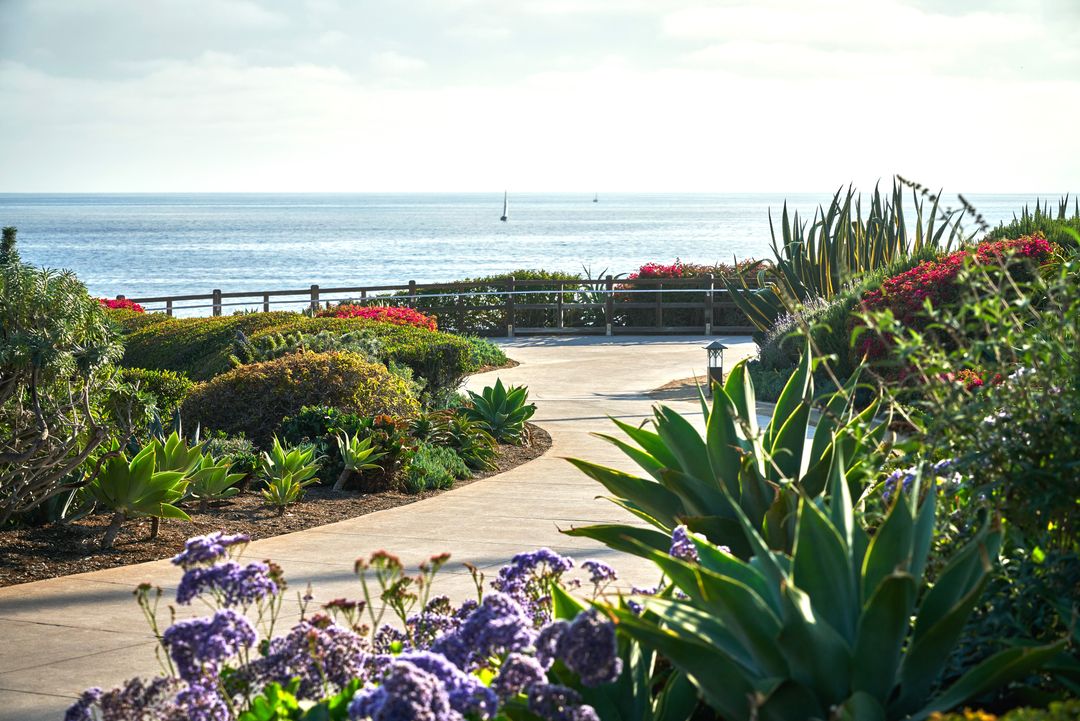 Laguna Electric Bike Tour