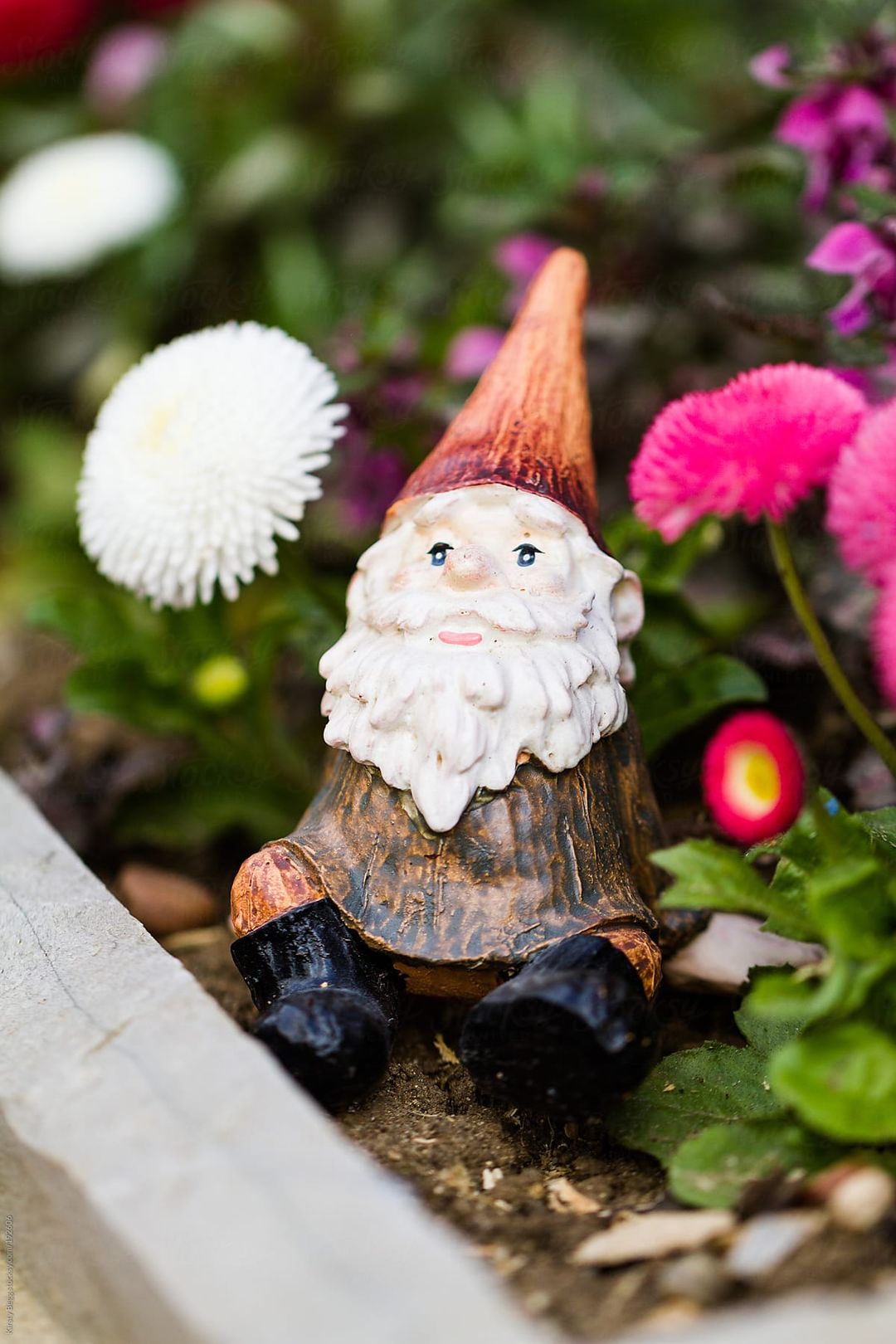 Hidden Gnome Adventure