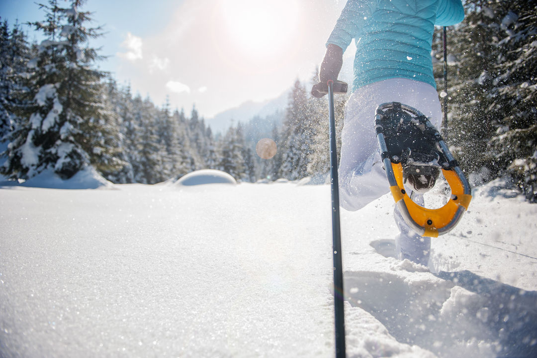 Snowshoe Rentals