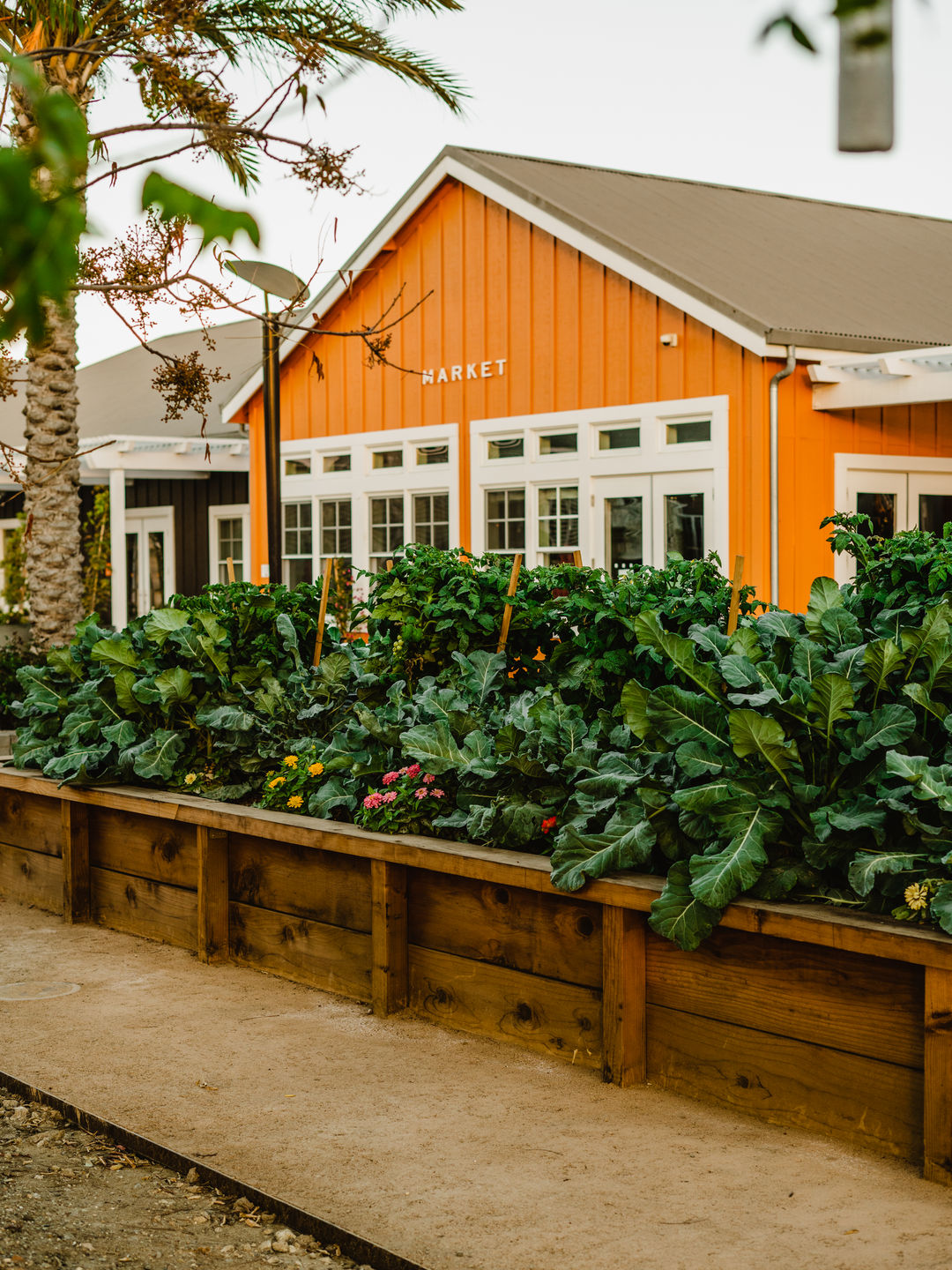 Thanksgiving at Home