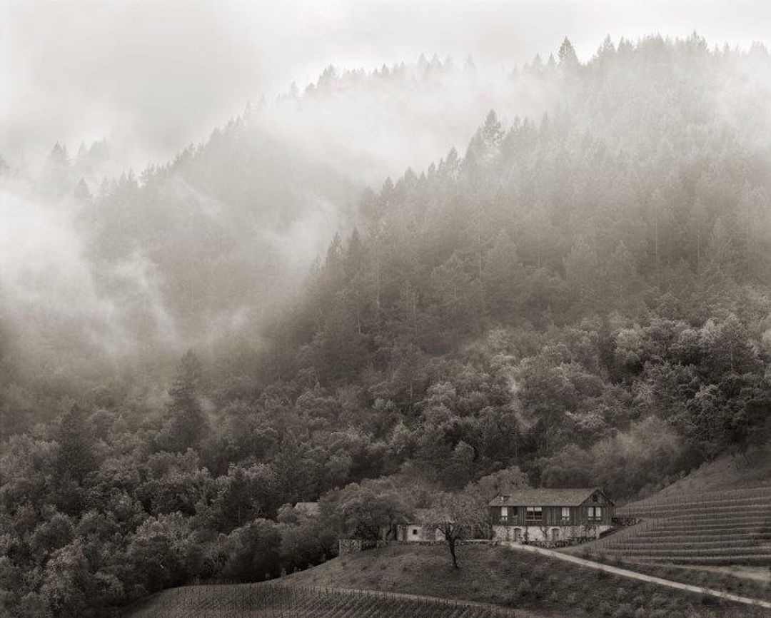 MASTER SOMMELIER MAX KAST BOND WINE DINNER | JUN. 21
