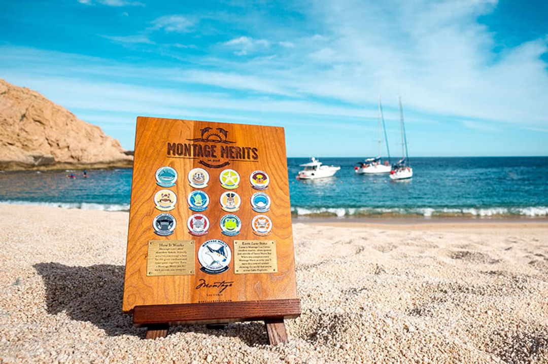 Montage Merits