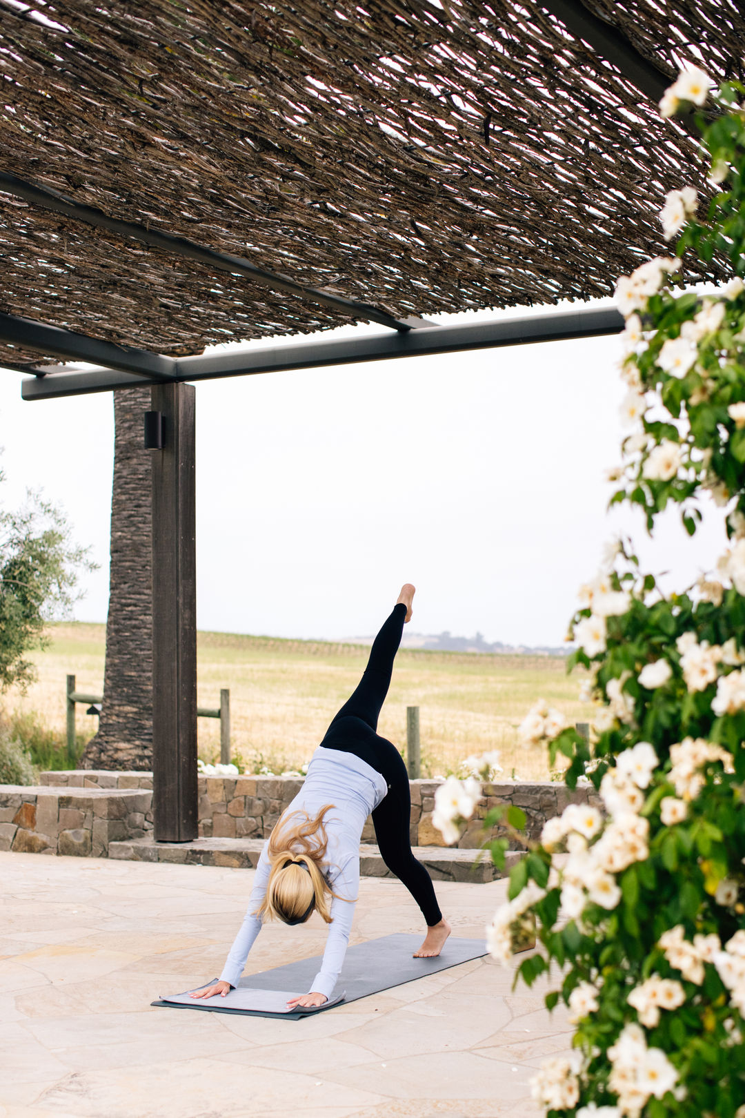 Holiday Wellness Classes