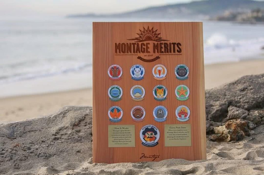 Montage Merits