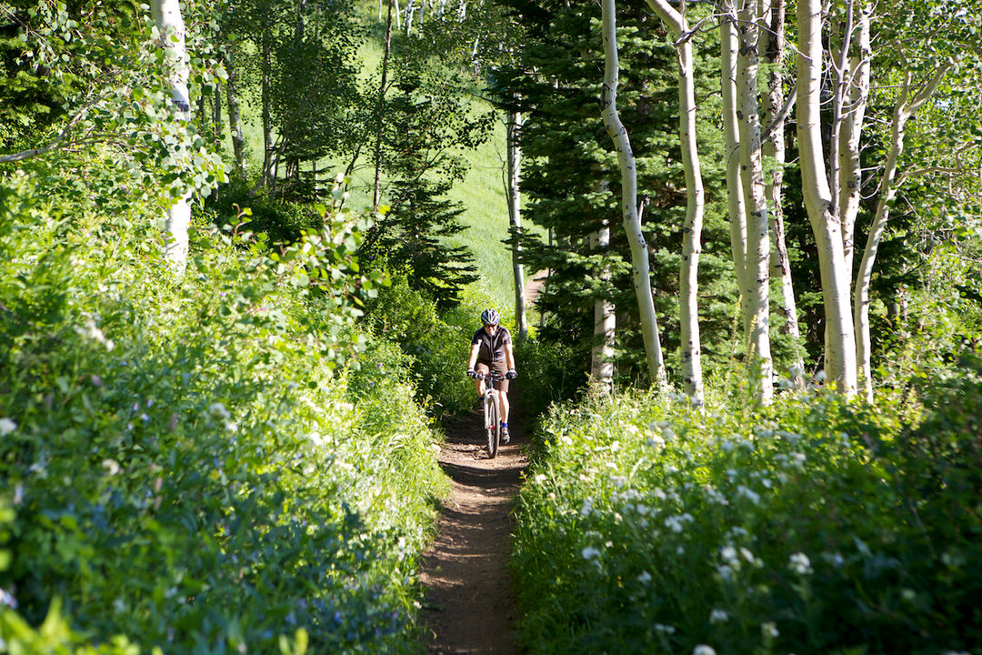 Mountain Bike Rentals