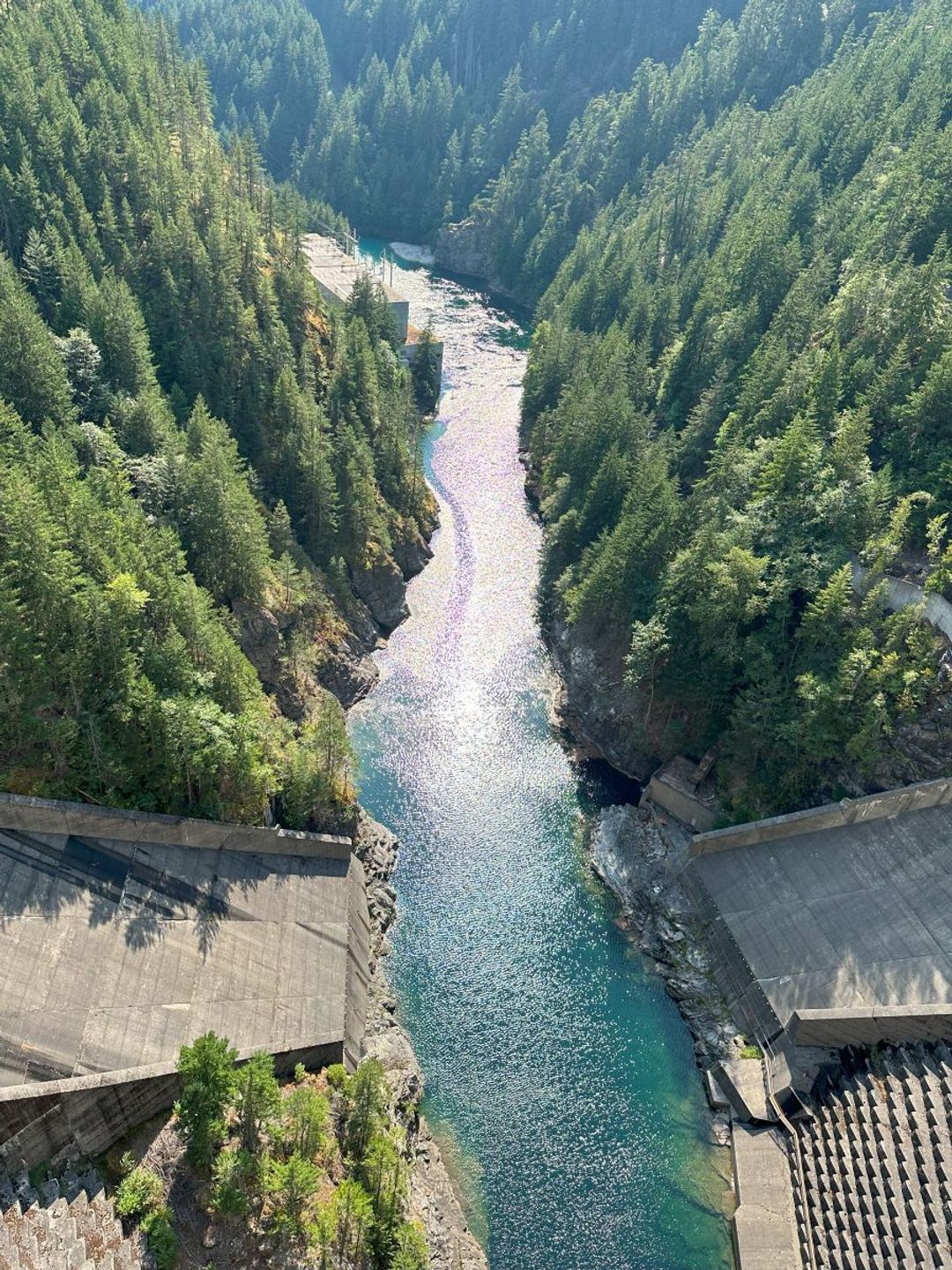 Aerial view of a river flowing through a forested valley with a dam
