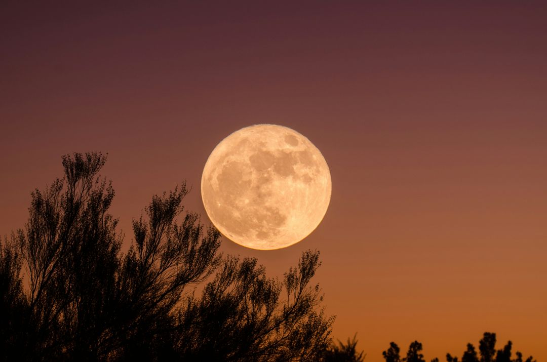 Wellness Under The Harvest Moon