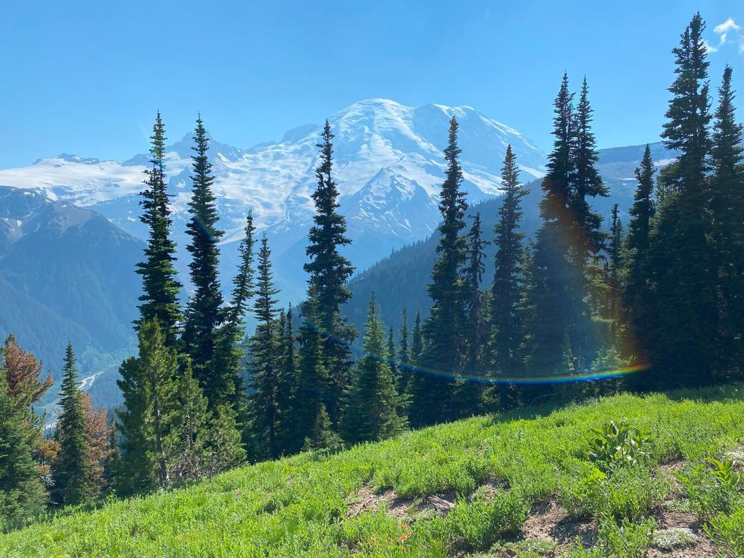 A scenic view of a mountain with trees and grass in the foreground.