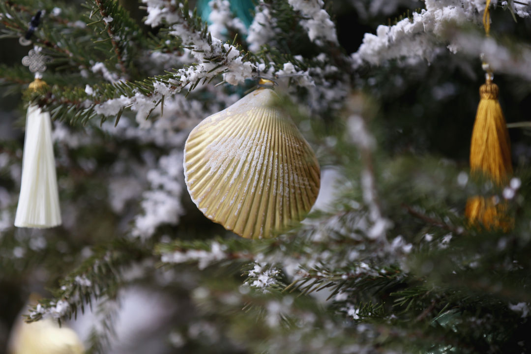 Angel Shell Ornament Workshop | November 27