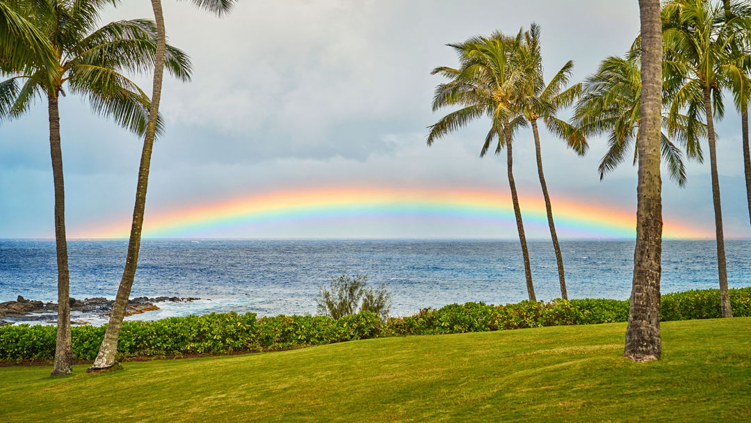 Lucky Little Explorers | March 16