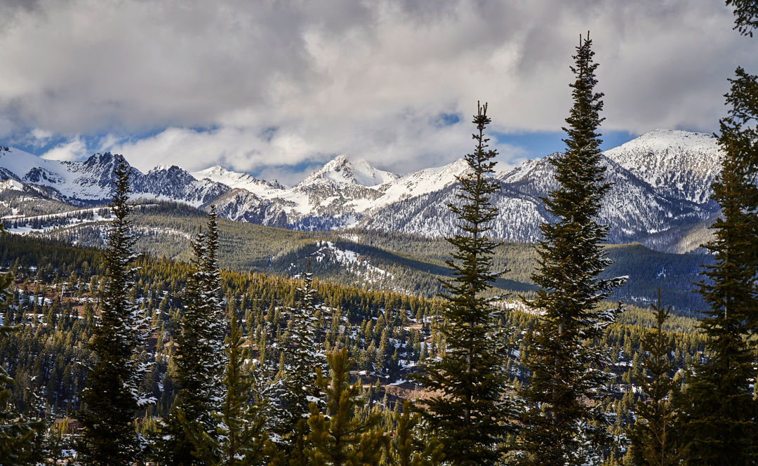 Compass with Compliments | Winter 