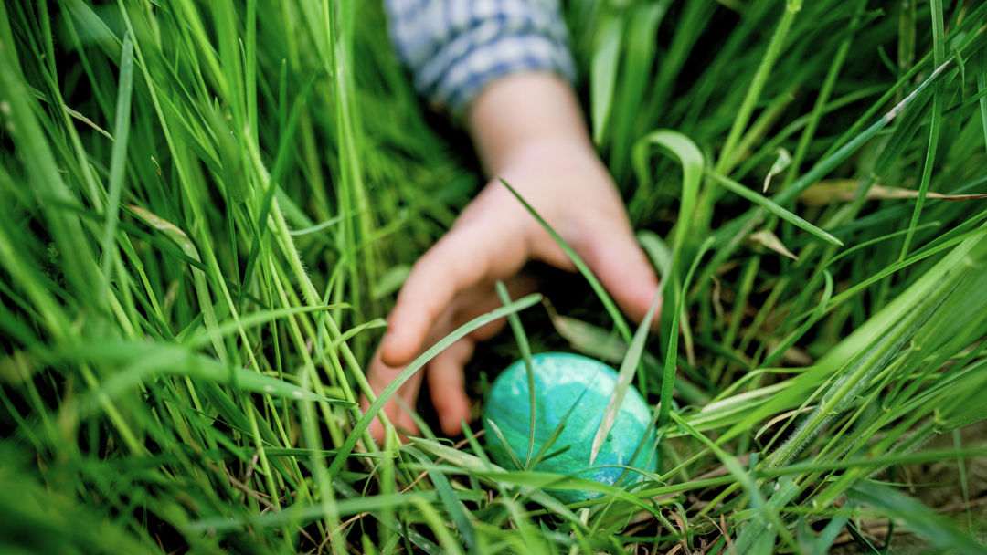 Grand Egg Hunt | April 5