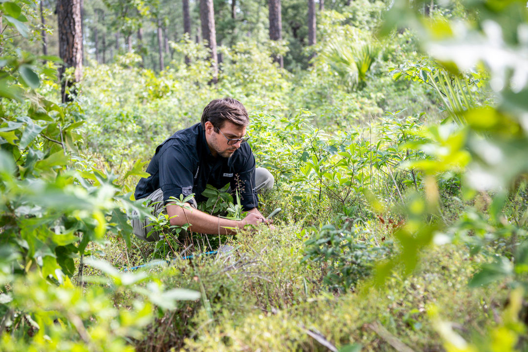 Palmetto Bluff Conservancy