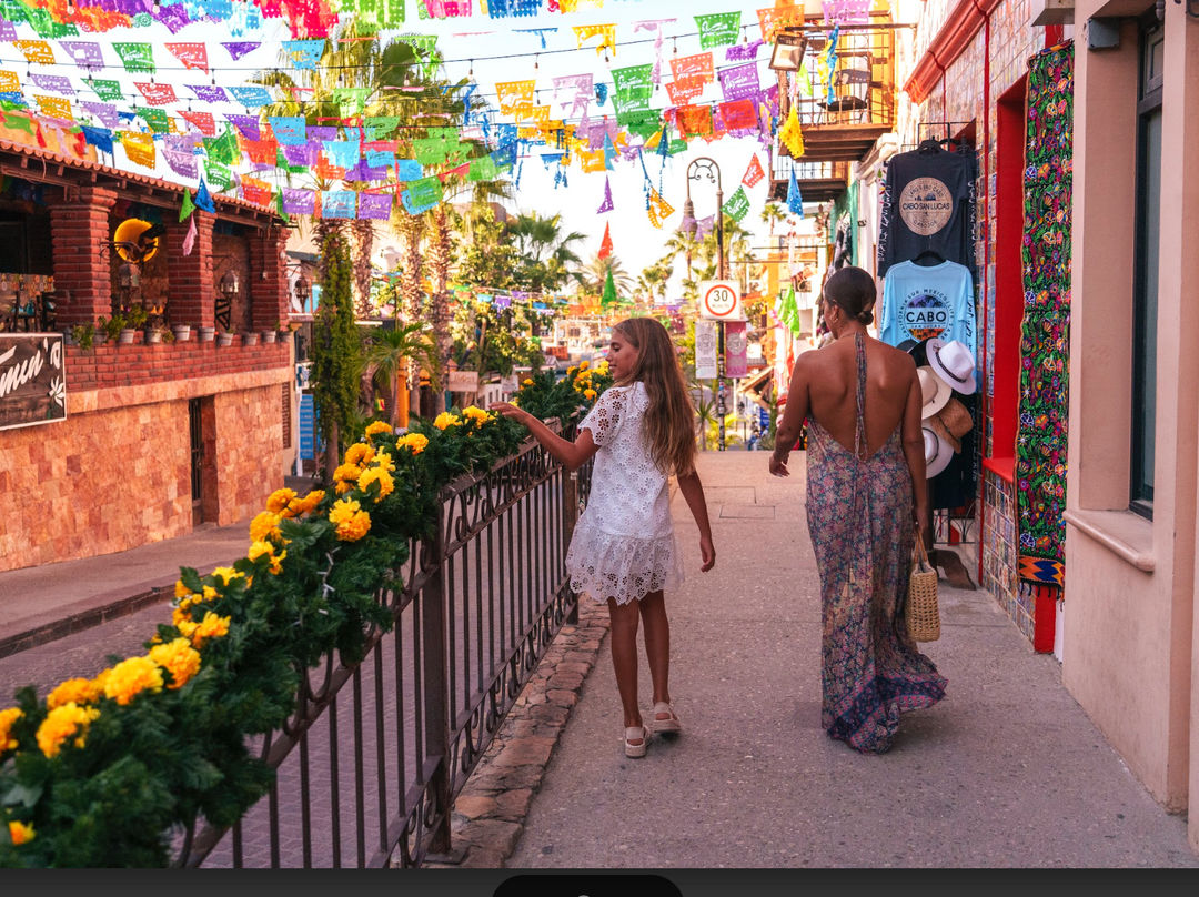 San Jose Gallery Hopping Tour