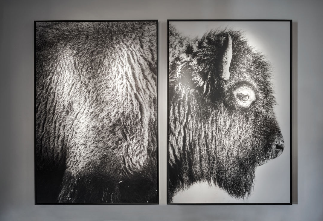 Artist Art Walk & Talk with Kene Sperry