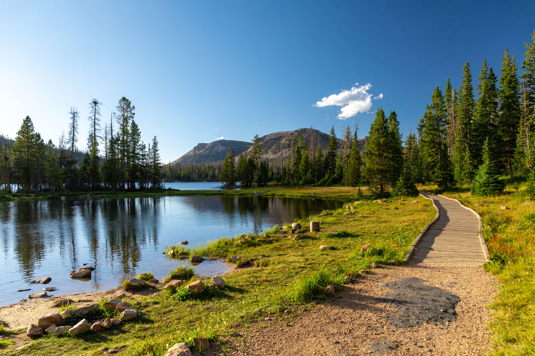 Uinta Mountain Experience