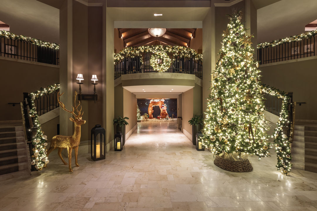 Festive Experiences