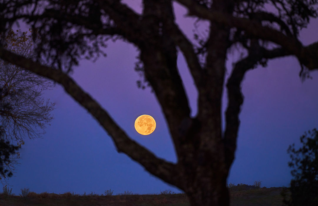 Self-Care Astrology | July 18
