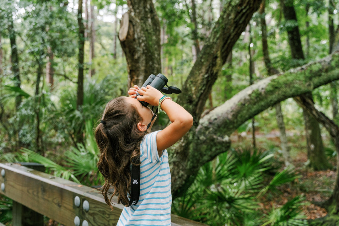 Birding the Bluff
