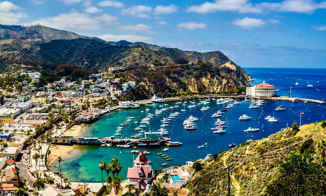 Catalina Boat Charter