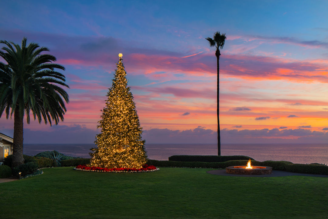 Festive Experiences