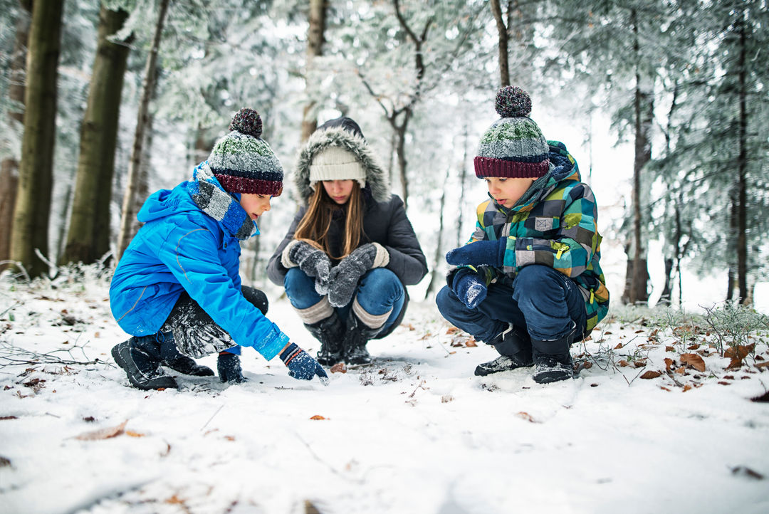 Guided Adventure Winter Hike