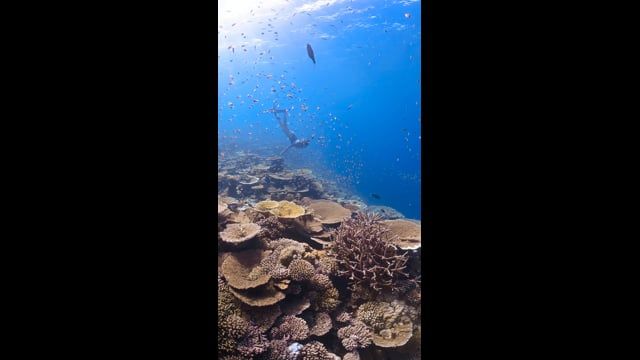 Freediving