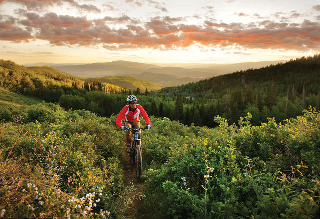 Guided Mountain Biking Montage Deer Valley