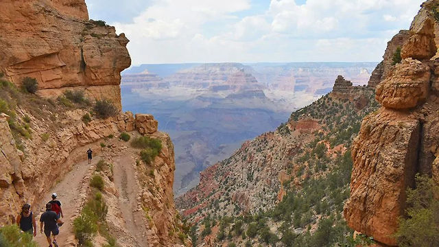 Kaibab National Dog Friendly Hikes Grand Canyon Grand Canyon