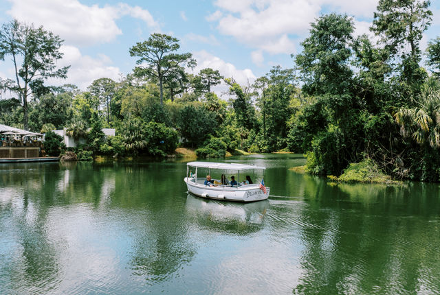 Inland Waterway Ecotour | Montage Palmetto Bluff