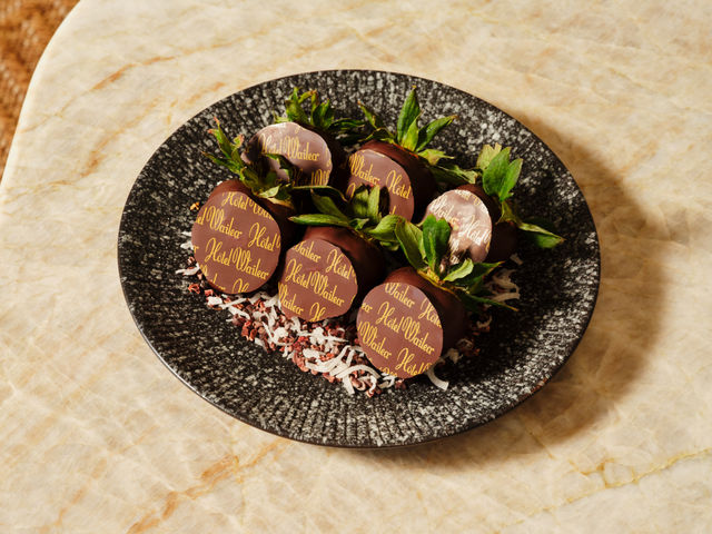 Gourmet Bites