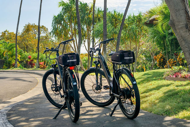 Electric Bike Rentals