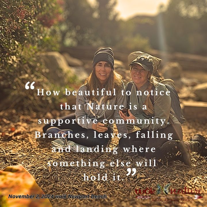 Nature Meditation Walk